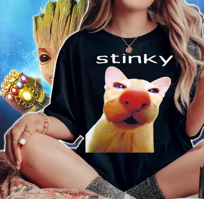 Babby Stinky Meme Shirt t-shirt woman shirt