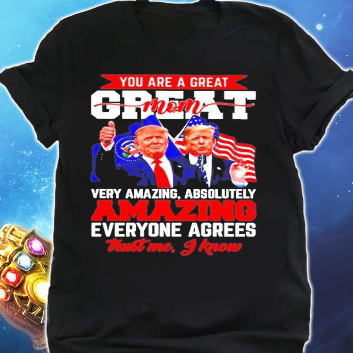 Donald Trump You Are A Great Mom Very Amazing Absolutely Amazing Everyone Agrees T-Shirt t-shirt shirt