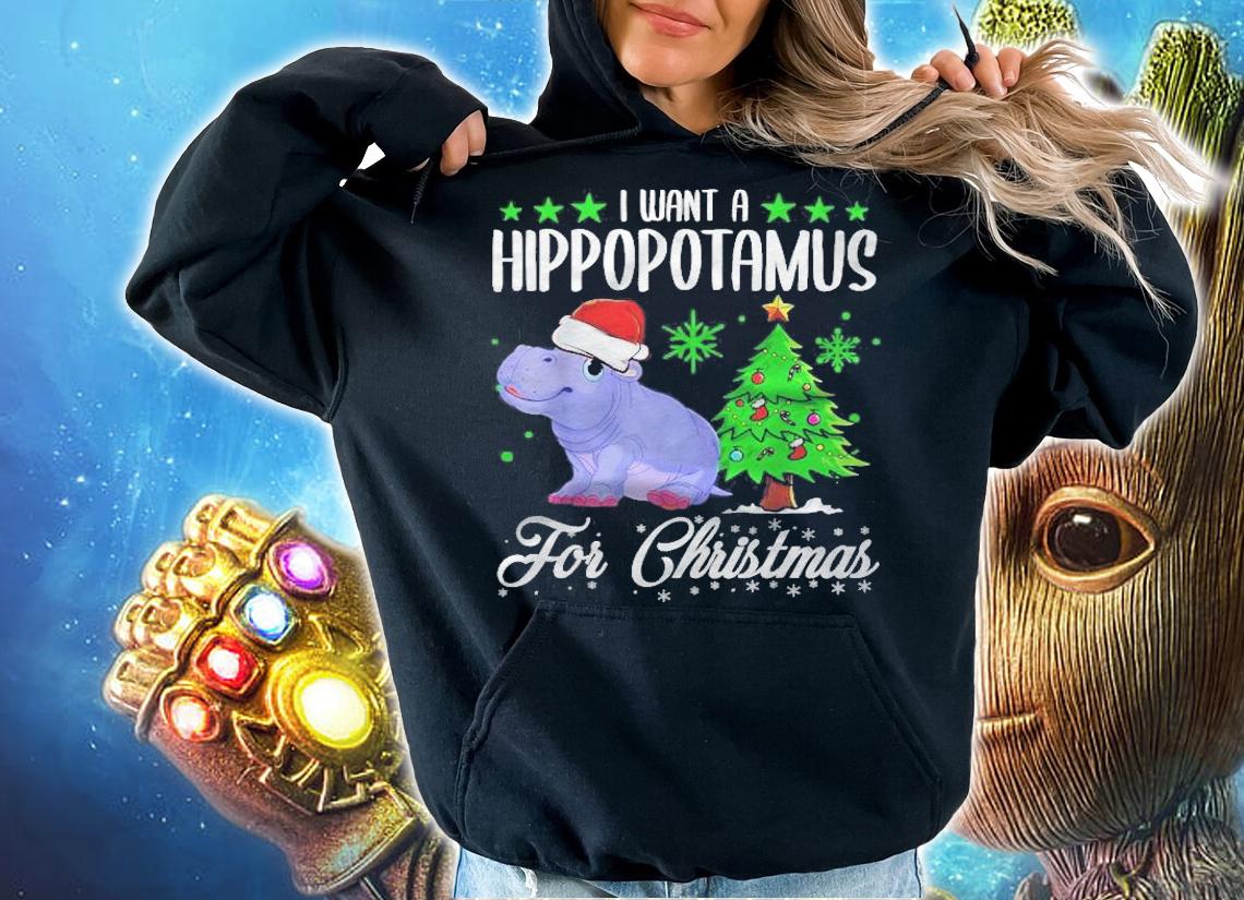 I Want A Hippopotamus For Christmas Xmas Hippo T-shirt hoodie