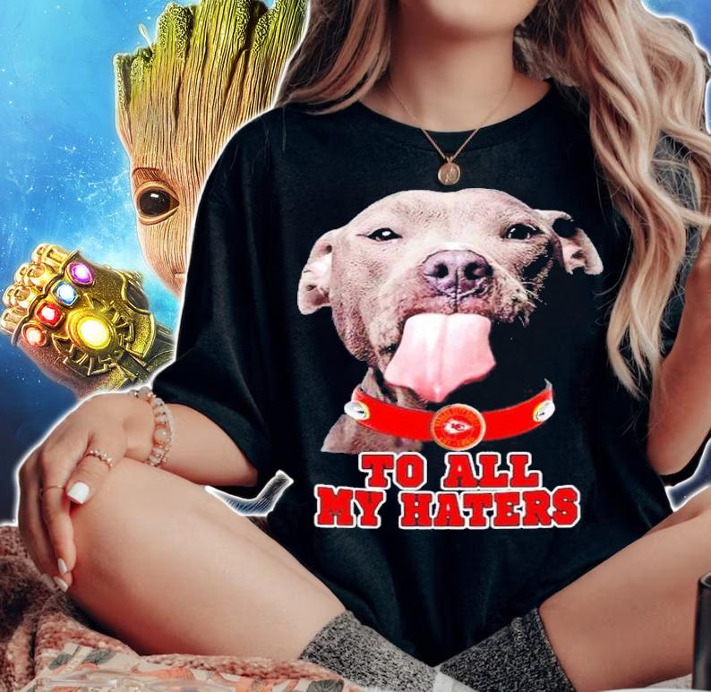 Pitbull Kansas City Chiefs to all my haters shirt woman shirt