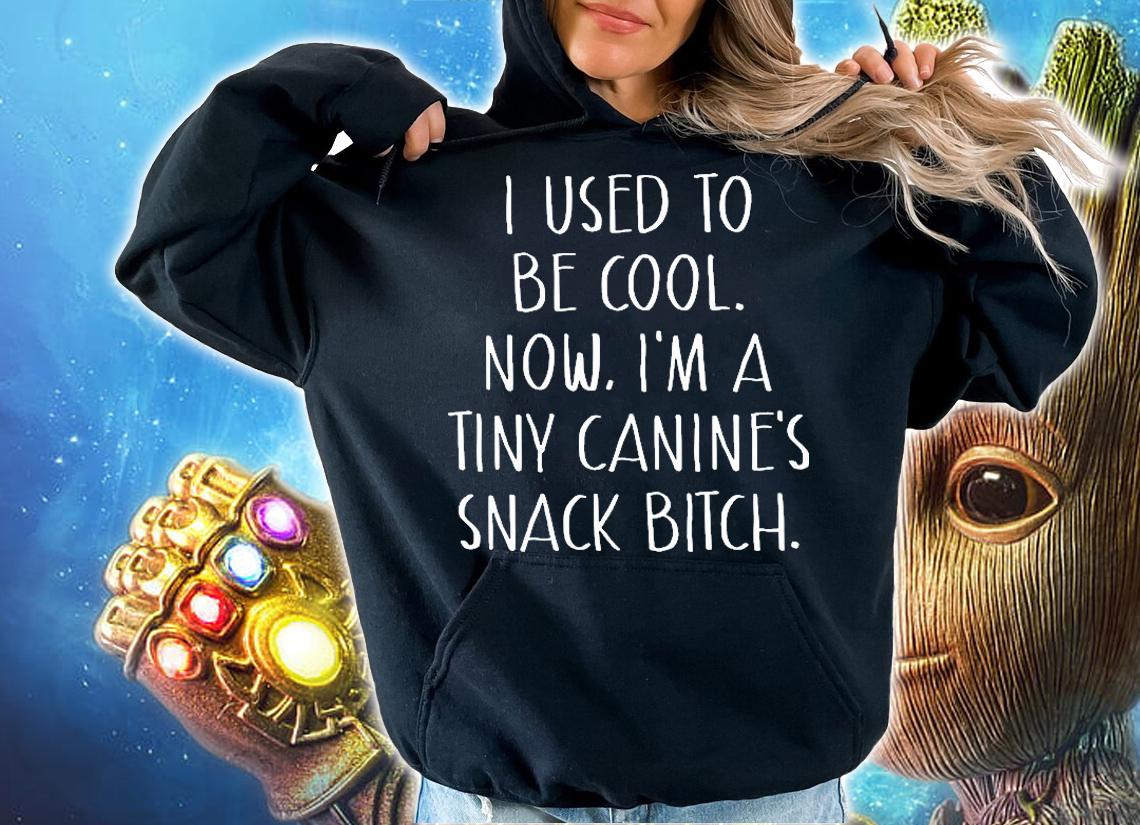Funny i used to be cool now Im a tiny canines snack bitch shirt hoodie