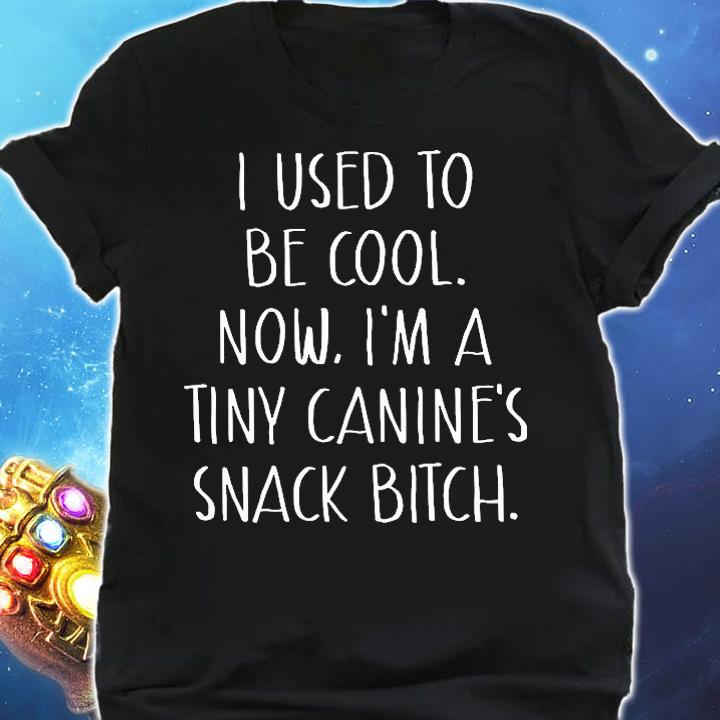 Funny i used to be cool now Im a tiny canines snack bitch shirt shirt