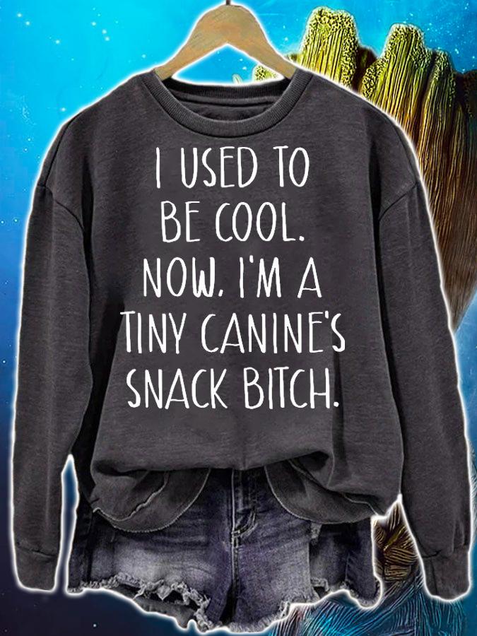 Funny i used to be cool now Im a tiny canines snack bitch shirt sweatshirt